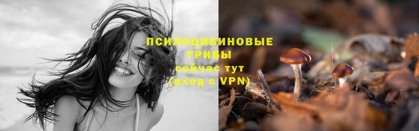 ПСИЛОЦИБИНОВЫЕ ГРИБЫ Волоколамск