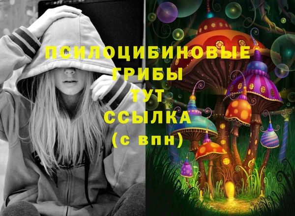 ешки Волосово