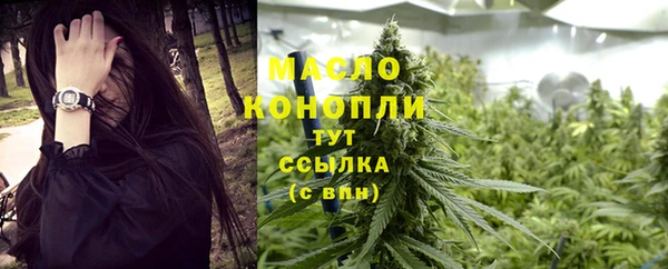 дмт Володарск