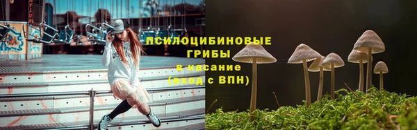 ПСИЛОЦИБИНОВЫЕ ГРИБЫ Волоколамск